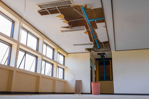 Best Water damage restoration company  in Decatur, IN
