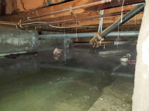 Best 24/7 water damage repair  in Decatur, IN