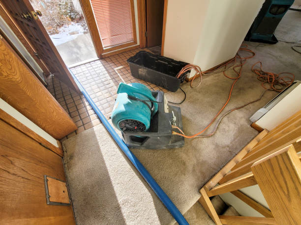 Best Water damage restoration near me  in Decatur, IN