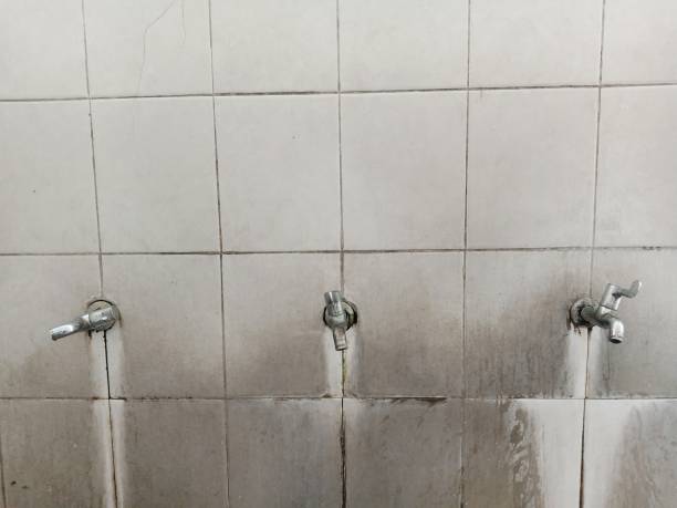 Best Water damage restoration mold remediation  in Decatur, IN