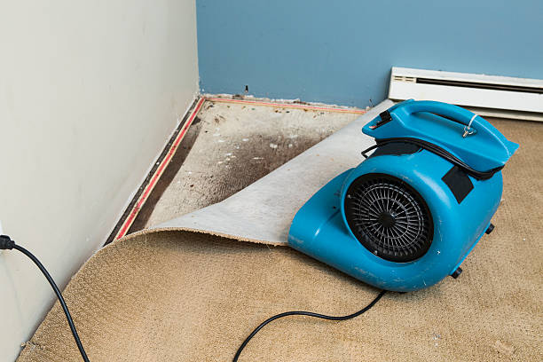 Best Flood restoration services  in Decatur, IN
